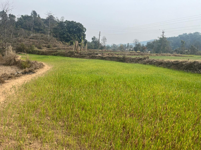 Agricultural Land 28 Biswa for Sale in