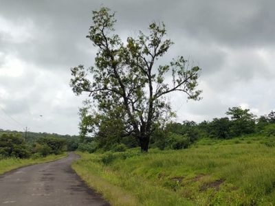Agricultural Land 3 Acre for Sale in Mhasla, Raigad