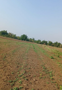 Agricultural Land 3 Acre for Sale in Sonegaon Nipani, Nagpur