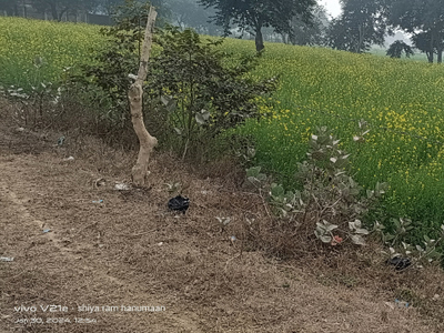Agricultural Land 3 Bigha for Sale in Kaharai, Agra