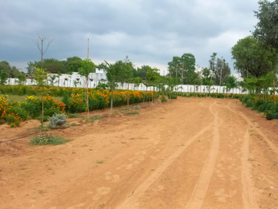 Agricultural Land 376 Acre for Sale in Kalavad, Jamnagar