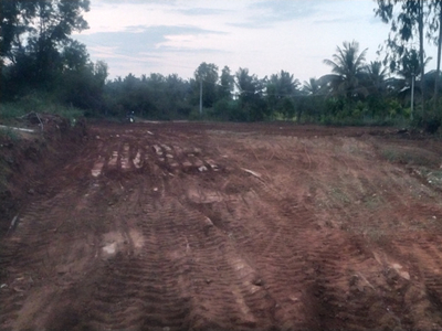 Agricultural Land 4 Acre for Sale in Kora, Tumkur
