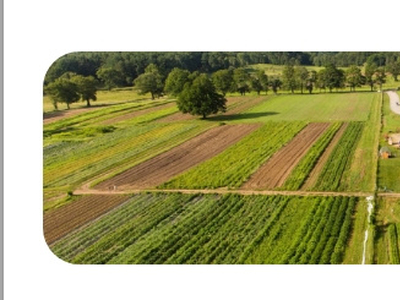 Agricultural Land 43570 Sq.ft. for Sale in