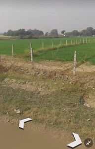 Agricultural Land 5 Bigha for Sale in