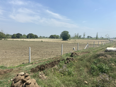 Agricultural Land 6000 Sq. Yards for Sale in