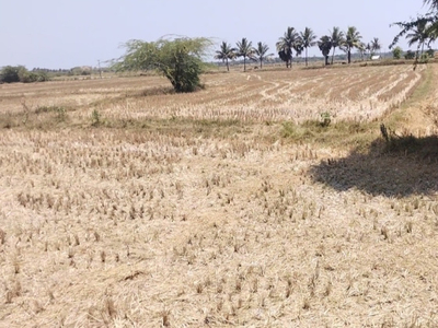 Agricultural Land 80 Cent for Sale in Koovathur, Kanchipuram
