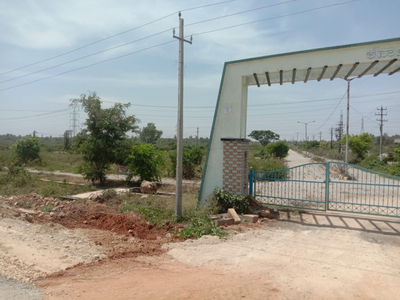 Agricultural Land 8300 Sq.ft. for Sale in Kadur, Chikmagalur