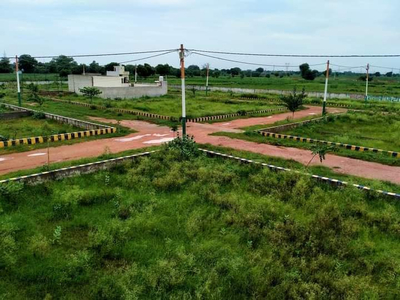 Agricultural Land 9 Acre for Sale in Adampur, Hisar