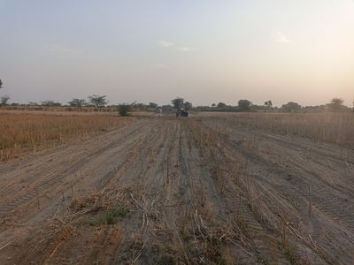 Agricultural Land 9 Bigha for Sale in Mozamabad, Jaipur