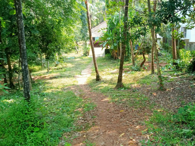 Commercial Land 15 Cent for Sale in Haleangadi, Mangalore