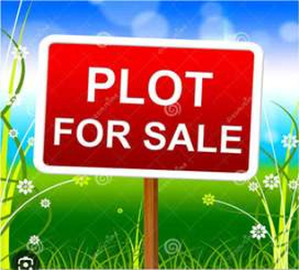 Commercial Land 1625 Sq.ft. for Sale in Ratpur Colony,