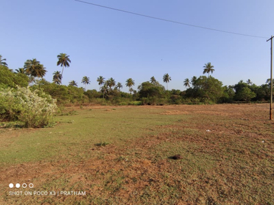 Commercial Land 194 Guntha for Sale in Vengurla, Sindhudurg