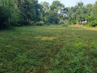 Commercial Land 23 Cent for Sale in Kollengode, Palakkad