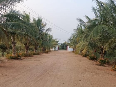 Hari Chandana Agro Park