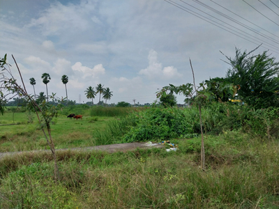 Industrial Land 30 Acre for Sale in