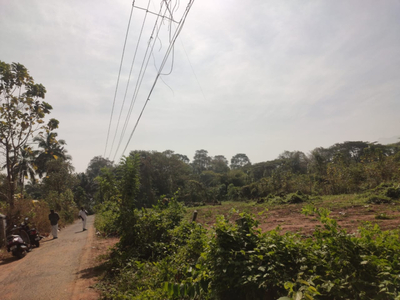 Industrial Land 40 Cent for Sale in Puthunagaram, Palakkad