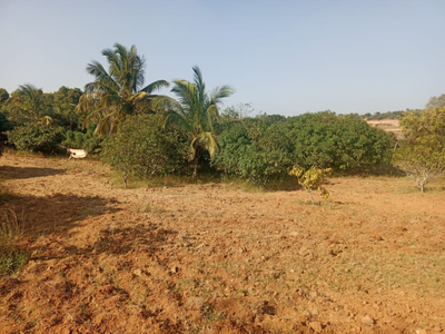 Industrial Land 5 Acre for Sale in Shoolagiri, Krishnagiri