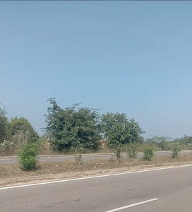 Industrial Land 5000000 Sq.ft. for Sale in Babina, Jhansi