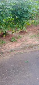Residential Plot 10 Cent for Sale in Mamangalam,