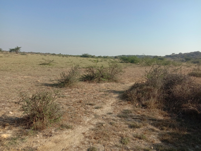 Agricultural Land 4 Acre for Sale in Mithapur, Dwarka