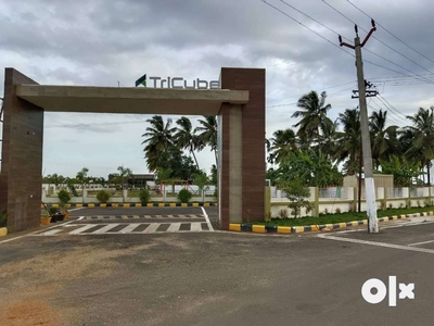 New DTCP Plots For Sale@ Sathy Main Road, Kovilpalayam, Just Walkable