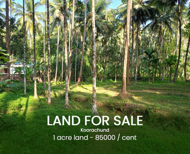 Residential Plot 1 Acre for Sale in Koombara, Kozhikode
