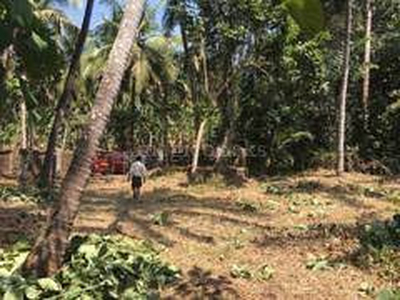 Residential Plot 10 Cent for Sale in Kozhinjampara, Palakkad