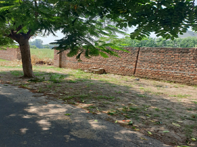 Residential Plot 100 Sq. Yards for Sale in BRS Nagar, Ludhiana