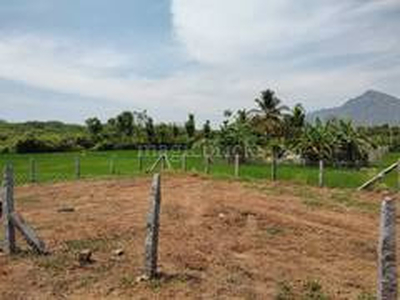 Residential Plot 1000 Sq.ft. for Sale in Bhatewar, Udaipur