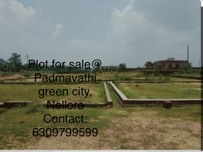 Residential Plot 1350 Sq.ft. for Sale in Balaji Nagar, Nellore