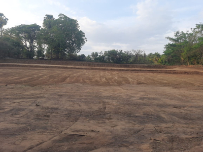 Residential Plot 140 Cent for Sale in Chittur, Palakkad