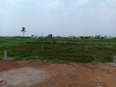 Residential Plot 170 Sq. Yards for Sale in Balaji Nagar, Old Guntur,