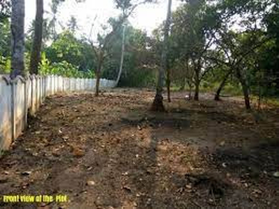 Residential Plot 20 Cent for Sale in Kunissery, Palakkad