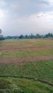 Residential Plot 2000 Sq. Yards for Sale in Behat, Saharanpur