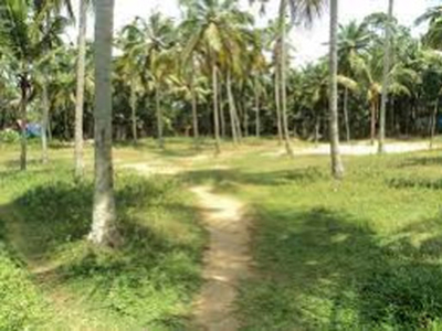 Residential Plot 3 Acre for Sale in Kollengode, Palakkad