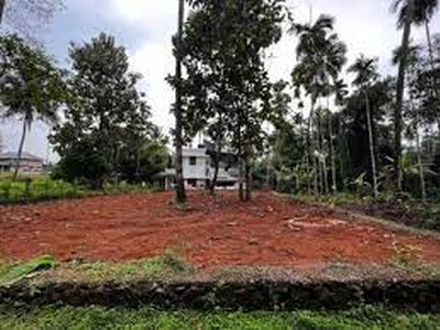 Residential Plot 8 Cent for Sale in Kunathurmedu, Palakkad
