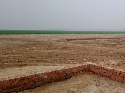 Residential Plot 800 Sq.ft. for Sale in Jangal Kauria, Gorakhpur