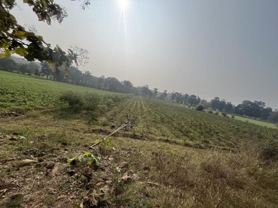 Agricultural Land 4 Acre for Sale in Zirnia, Khargone
