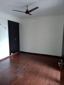 1172 sq ft 2 BHK 2T Apartment for rent in Amrapali Pan Oasis at Sector 70, Noida by Agent prob realtors private limited