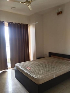 1250 sq ft 3 BHK 2T Apartment for rent in L And T L&T Crescent Bay at Parel, Mumbai by Agent deepak jagasia