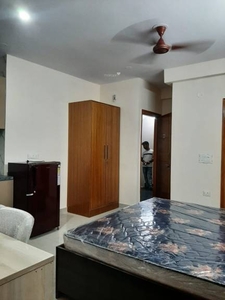 320 sq ft 1RK 1T BuilderFloor for rent in Project at Sector 41, Gurgaon by Agent Squar Property