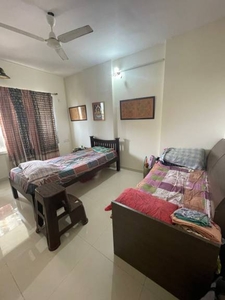 450 sq ft 1 BHK 2T Apartment for rent in Rajendra Dolphin Tower at Malad West, Mumbai by Agent Shreeji Real Estate