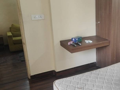 495 sq ft 1 BHK 1T Apartment for rent in Reputed Builder Paras The Rize Apartments at Sector 137, Noida by Agent Maharana associate