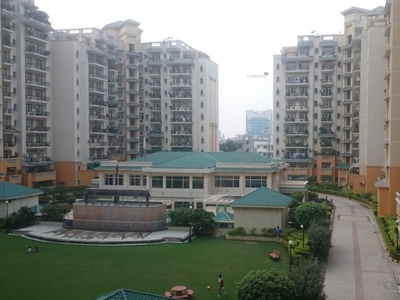 550 sq ft 1RK 1T BuilderFloor for rent in Suncity Township at Sector 54, Gurgaon by Agent Mannat Properties