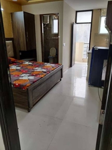 589 sq ft 1 BHK 1T BuilderFloor for rent in DLF Phase 3 at Sector 24, Gurgaon by Agent Srinivasan Co