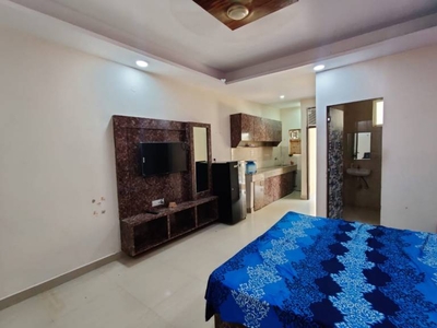 600 sq ft 1RK 1T Apartment for rent in DLF Phase 3 at Sector 24, Gurgaon by Agent Naveen