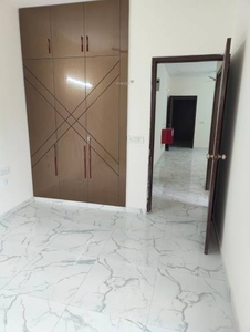 800 sq ft 2 BHK 2T Apartment for rent in Pivotal Riddhi Siddhi at Sector 99, Gurgaon by Agent Stone infratech