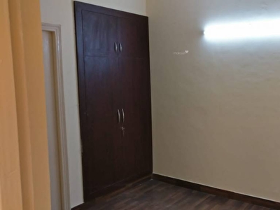 825 sq ft 2 BHK 2T Apartment for rent in Paras Tierea at Sector 137, Noida by Agent Aadya Associates Real Estate
