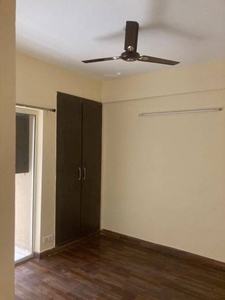 925 sq ft 2 BHK 2T Apartment for rent in Paras Tierea at Sector 137, Noida by Agent Maharana associate