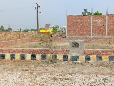 Sunil Property